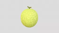 Melon