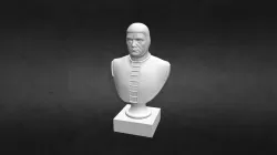 Mendez Bust