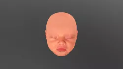 Merged Model Mesh