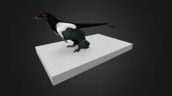 Microraptor gui #3DSM2