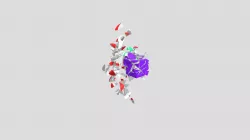 Midterm 3d