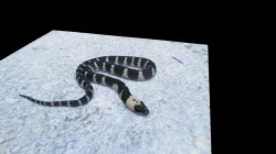 Model 34 - Philippine Wolf Snake
