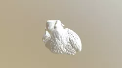 Model 4