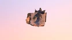 Model- Lion