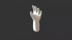 Model Mesh Hand