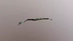 model2