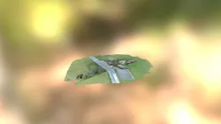 Model2