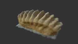 Molar3