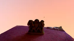 Monkey