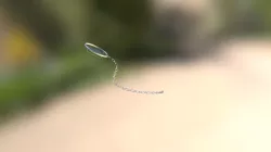 monocle