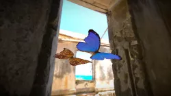 Morpho