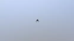 Mosca
