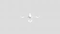 Mosquito Bike