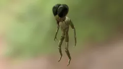 Mosquito Pilot