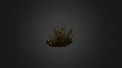 Moss