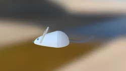 mouse