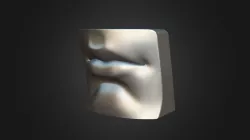 Mouth Model 2