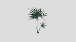 MucSciFi3-LadyPalmTree
