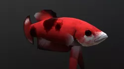 Murdock