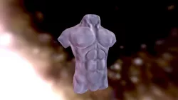 Muscles