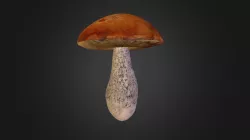 Mushroom