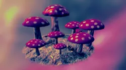 Mushrooms
