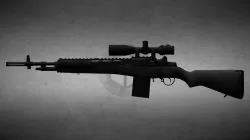 MWR M14