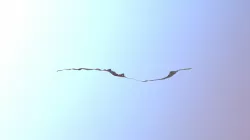 My cool 3D asset