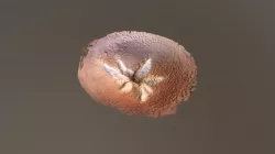 My stunning 3D asset