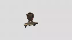MyHead