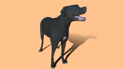 Nacho All Fours - low