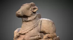 Nandi