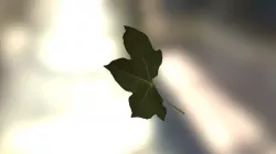 Natural Leaf