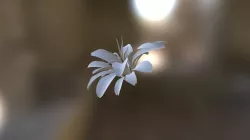 Nature Experimentation Model