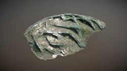 Nature Forest Roots 011