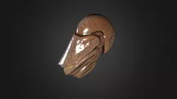 Nautilus　オウムガイ