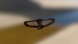 Navigation instrument