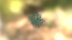 nest11