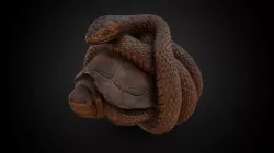 Netsuke - Snake curled around a turtle