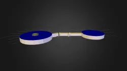 Neuron 2