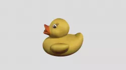 New model