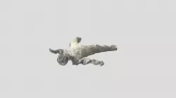 New Qlone