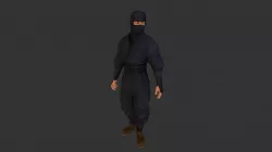 Ninja