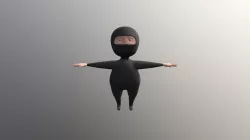 Ninja