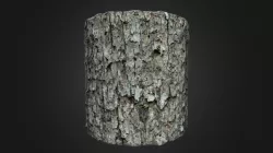Oak Tree Bark Material