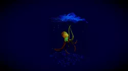 Octopus2