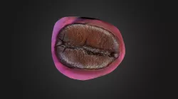 Olympus Coffee Bean