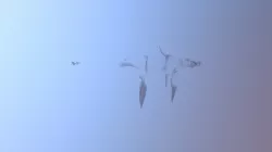 Opacity/Alpha Test