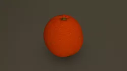 Orange 07