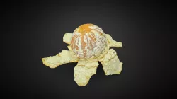 Orange Open 3D scan